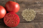 Корисні поради щодо підготовки насіння томатів до посіву